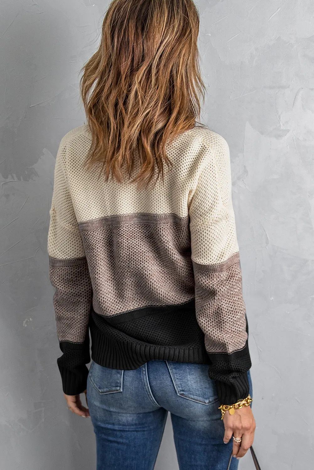 Color Block Netted Texture Pullover Sweater