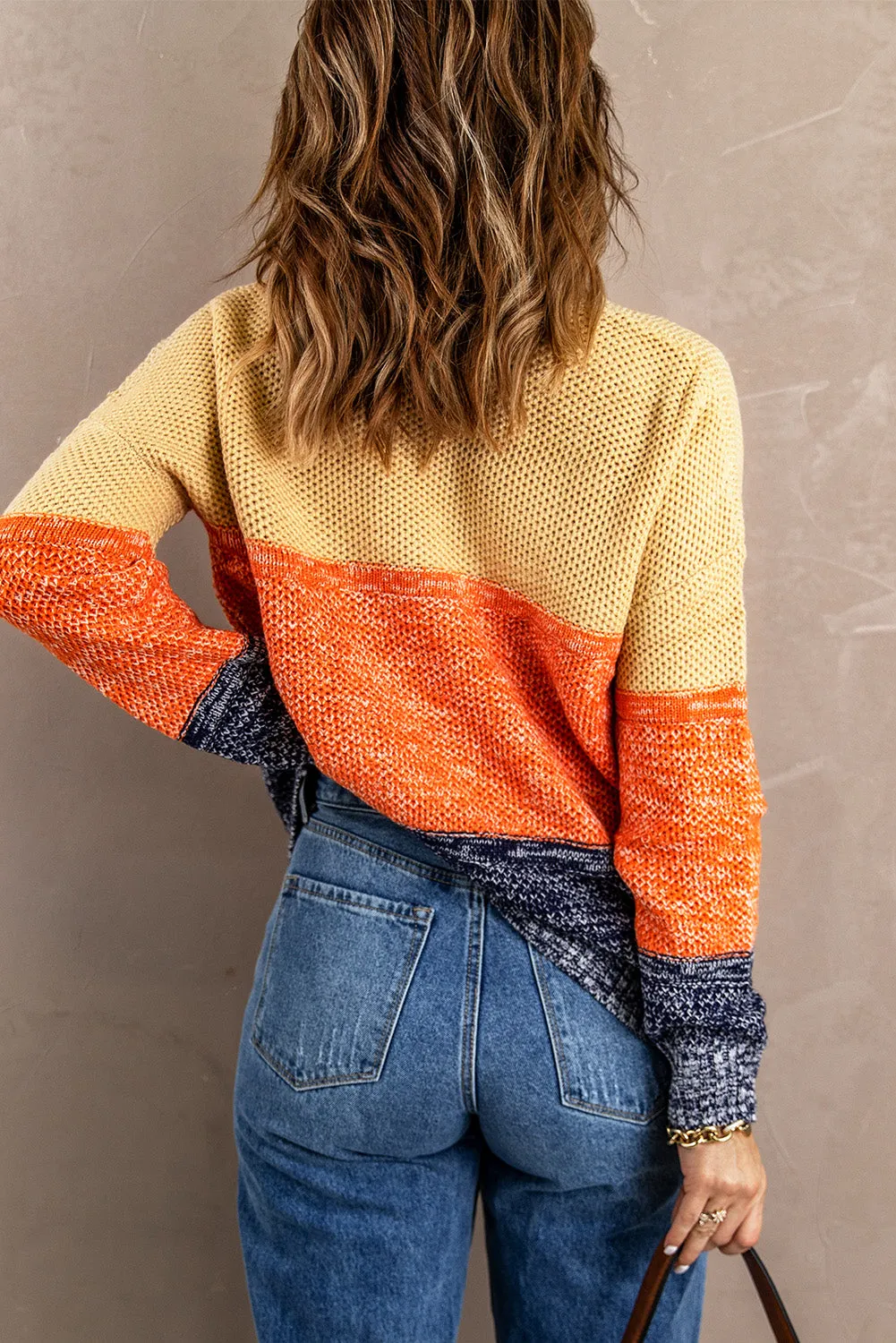 Color Block Netted Texture Pullover Sweater