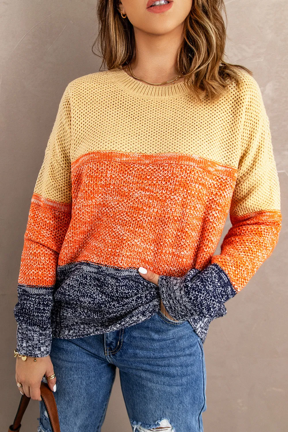 Color Block Netted Texture Pullover Sweater