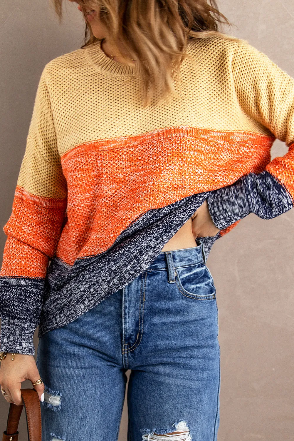 Color Block Netted Texture Pullover Sweater