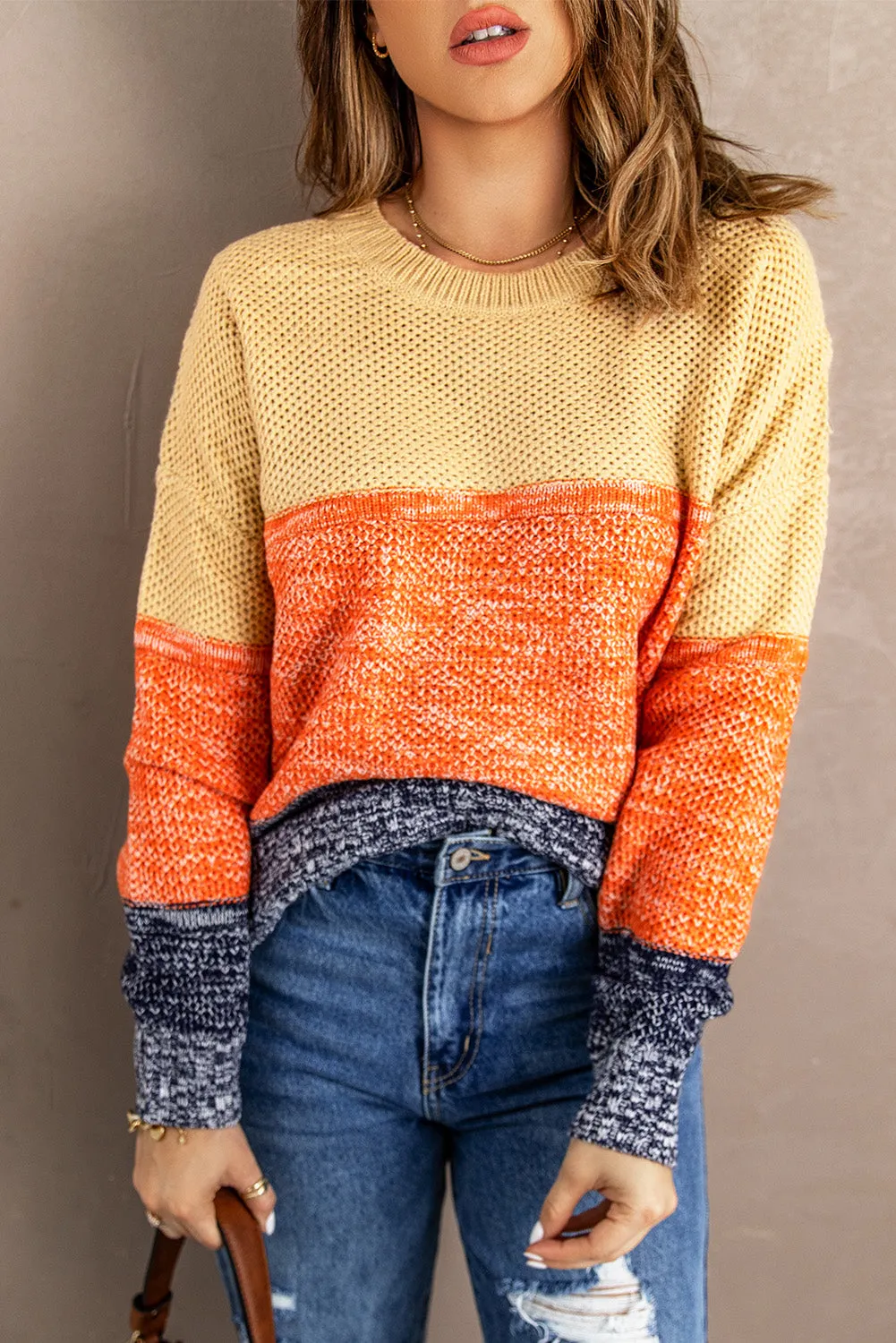 Color Block Netted Texture Pullover Sweater